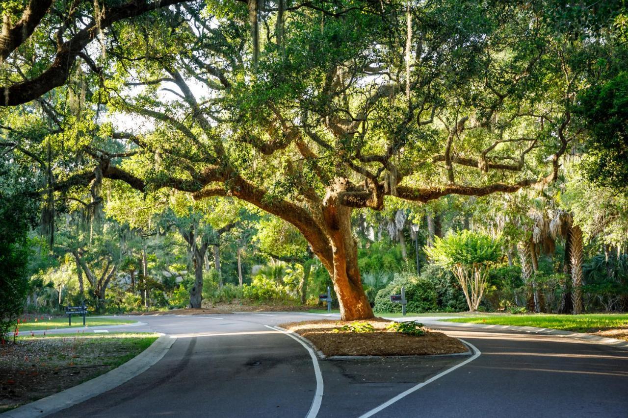 1313 Pelican Watch - Seabrook Island - Beachfront 5 Star Condo - Fido Friendly Екстериор снимка
