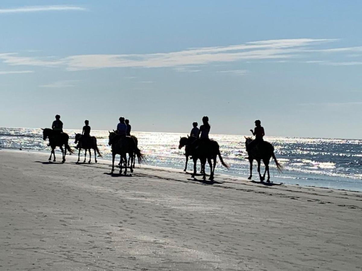 1313 Pelican Watch - Seabrook Island - Beachfront 5 Star Condo - Fido Friendly Екстериор снимка
