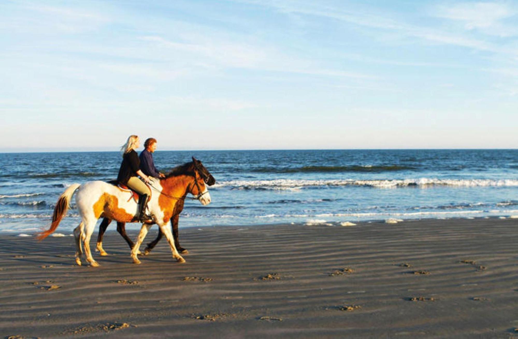 1313 Pelican Watch - Seabrook Island - Beachfront 5 Star Condo - Fido Friendly Екстериор снимка